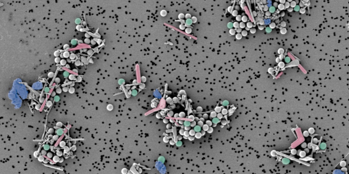 Hetero Agglomeration Particles